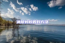 清除螞蟻的好方法