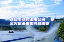 選擇專業的殺蟲公司  安全滅鼠殺蟲更符合需要