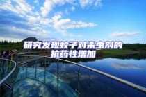 研究發現蚊子對殺蟲劑的抗藥性增加