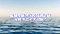 豬場養(yǎng)貓可以滅鼠嗎豬場究竟該怎么滅鼠呢？
