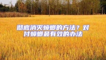 徹底消滅蟑螂的方法?對付蟑螂最有效的辦法