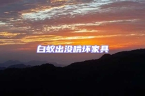 白蟻出沒(méi)啃壞家具