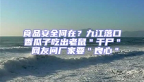 食品安全何在?九江落口香瓜子吃出老鼠"干尸" 網友問廠家要"良心"