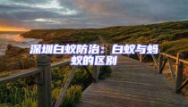 深圳白蟻防治:白蟻與螞蟻的區(qū)別