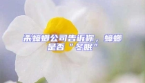 殺蟑螂公司告訴你,蟑螂是否“冬眠”