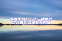 家庭滅鼠好方法，捕鼠公司告訴你如何有效滅鼠