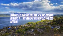 如何正確消滅進入家里的螞蟻?專業滅螞蟻公司告訴你