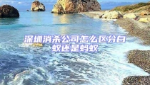 深圳消殺公司怎么區分白蟻還是螞蟻