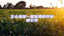 怎么選擇一家優(yōu)質(zhì)的滅蟑螂公司
