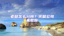 老鼠怎么分辨?滅鼠公司來教你
