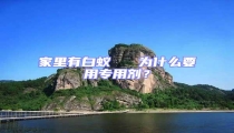 家里有白蟻   為什么要用專用劑?