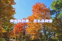 臭蟲(chóng)的危害，怎么殺臭蟲(chóng)