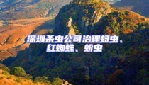 深圳殺蟲(chóng)公司治理蚜蟲(chóng)、紅蜘蛛、蚧蟲(chóng)