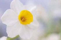 【除臭蟲公司】為什么臭蟲能耐得住“饑寒交迫”？