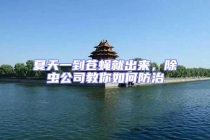 夏天一到蒼蠅就出來，除蟲公司教你如何防治