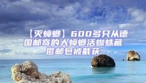 【滅蟑螂】600多只從德國郵寄的大蟑螂活蜘蛛藏匿郵包被截獲