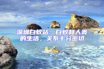 深圳白蟻站：白蟻和人類的生活，關(guān)系十分密切