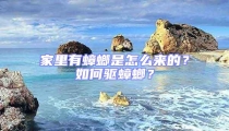 家里有蟑螂是怎么來的?如何驅蟑螂?