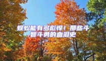 蜈蚣能有多彪悍!那些斗智斗勇的血淚史