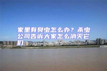 家里有臭蟲(chóng)怎么辦？殺蟲(chóng)公司告訴大家怎么消滅它們