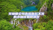 滅蟑螂公司告訴你打不死的小強該如何消滅