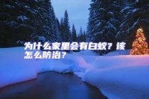 為什么家里會有白蟻？該怎么防治？