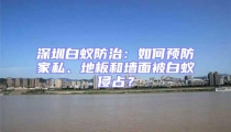深圳白蟻防治:如何預防家私、地板和墻面被白蟻侵占?