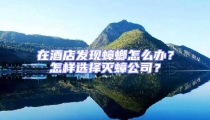 在酒店發現蟑螂怎么辦?怎樣選擇滅蟑公司?