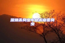 深圳殺臭蟲專業殺宿舍臭蟲