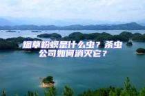 煙草粉螟是什么蟲？殺蟲公司如何消滅它？