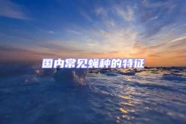 國內常見蠅種的特征