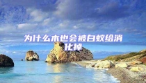 為什么木也會被白蟻給消化掉