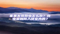 家里發(fā)現(xiàn)臭蟲怎么辦?臭蟲是如何入侵室內(nèi)的?