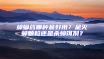 蟑螂藥哪種最好用?是滅蟑顆粒還是殺蟑餌劑?