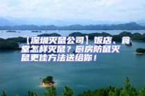 【深圳滅鼠公司】飯店、食堂怎樣滅鼠？廚房防鼠滅鼠更佳方法送給你！