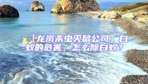 【龍崗殺蟲滅鼠公司】白蟻的危害，怎么除白蟻？