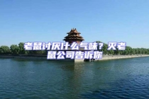 老鼠討厭什么氣味？滅老鼠公司告訴你