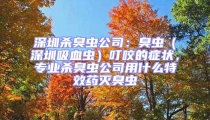 深圳殺臭蟲公司：臭蟲（深圳吸血蟲）叮咬的癥狀，專業殺臭蟲公司用什么特效藥滅臭蟲