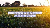 深圳滅蟑螂公司介紹蟑螂越殺越多的原因