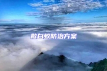 散白蟻防治方案