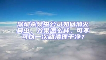 深圳殺臭蟲公司如何消滅臭蟲,效果怎么樣,可不可以一次就清理干凈?