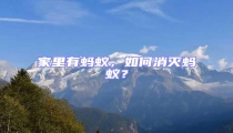 家里有螞蟻，如何消滅螞蟻？