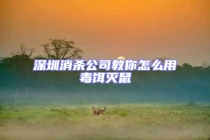 深圳消殺公司教你怎么用毒餌滅鼠