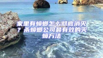 家里有蟑螂怎么徹底消滅?殺蟑螂公司最有效的滅蟑方法