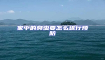 家中的臭蟲要怎么進(jìn)行預(yù)防