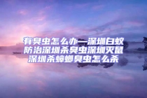 有臭蟲怎么辦—深圳白蟻防治深圳殺臭蟲深圳滅鼠深圳殺蟑螂臭蟲怎么殺