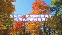 滅蟑螂,家里的蟑螂為什么那么難徹底消滅?