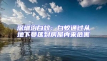 深圳治白蟻:白蟻通過從地下蔓延到房屋內(nèi)來危害