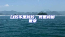 白蟻不是螞蟻,而是蟑螂近親