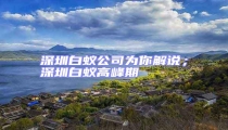 深圳白蟻公司為你解說;深圳白蟻高峰期